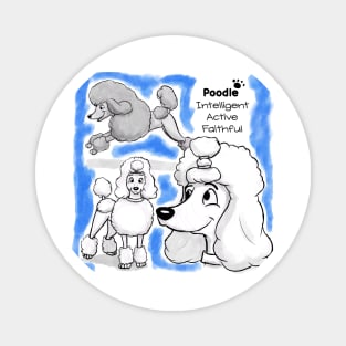 Poodle Design Magnet